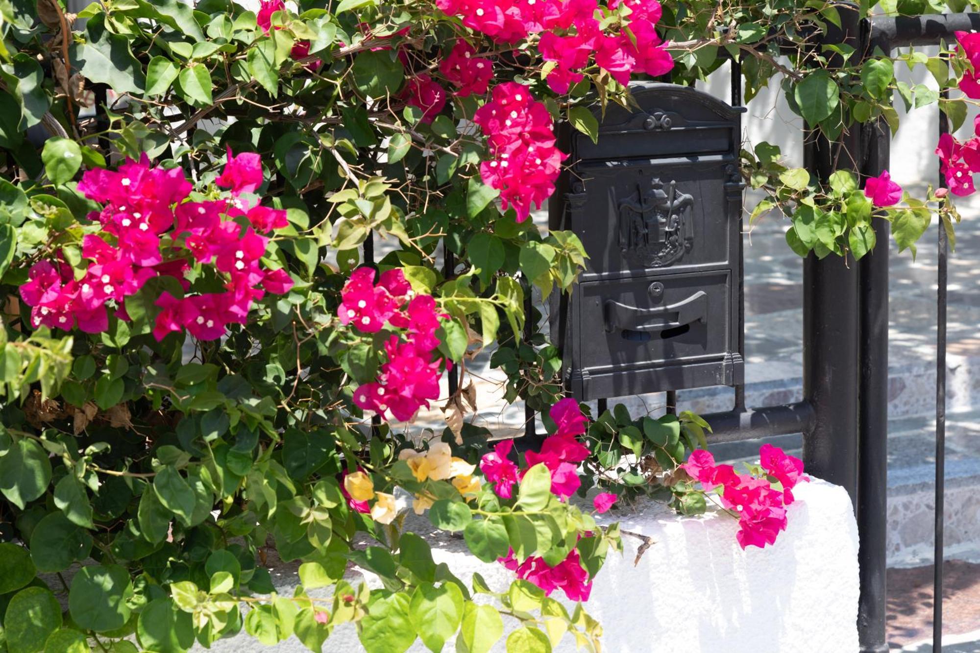 Limassol Akrotiri Beach Vine Cottage A 외부 사진